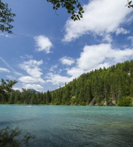 Kenai River