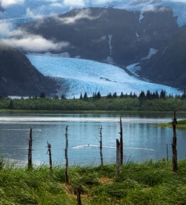 Pedersen Glacier & Lagoon