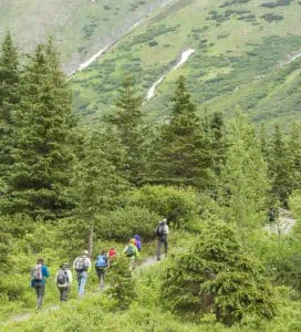 A Group of Hikers in Alaska