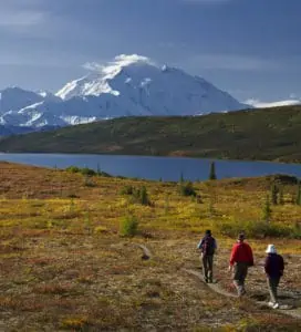 View of Denali and Wonder Lake