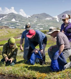 Exploring the Tundra