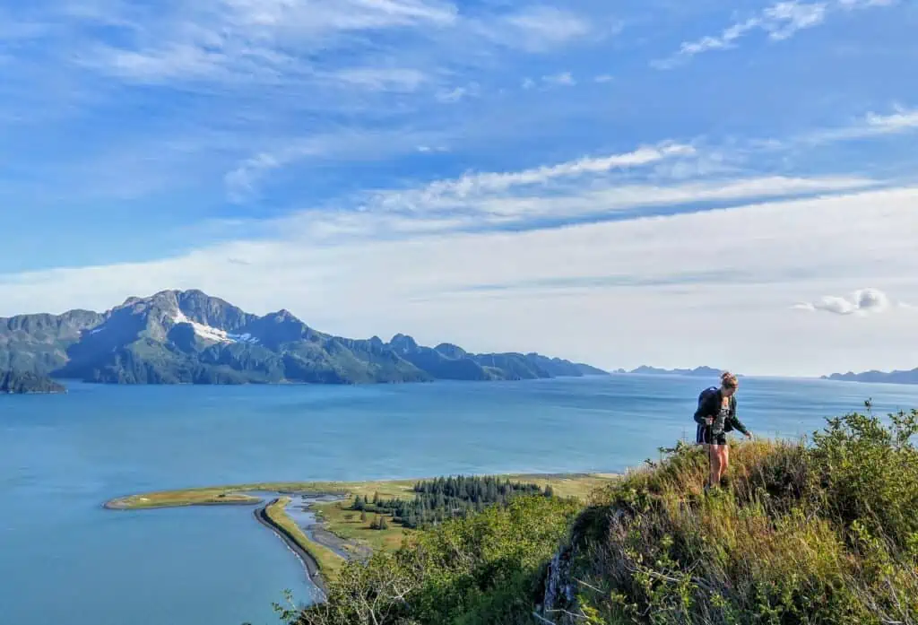 View of Aialik Bay from the Ridge Hiking Trail