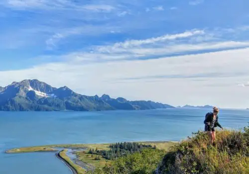 View of Aialik Bay from the Ridge Hiking Trail