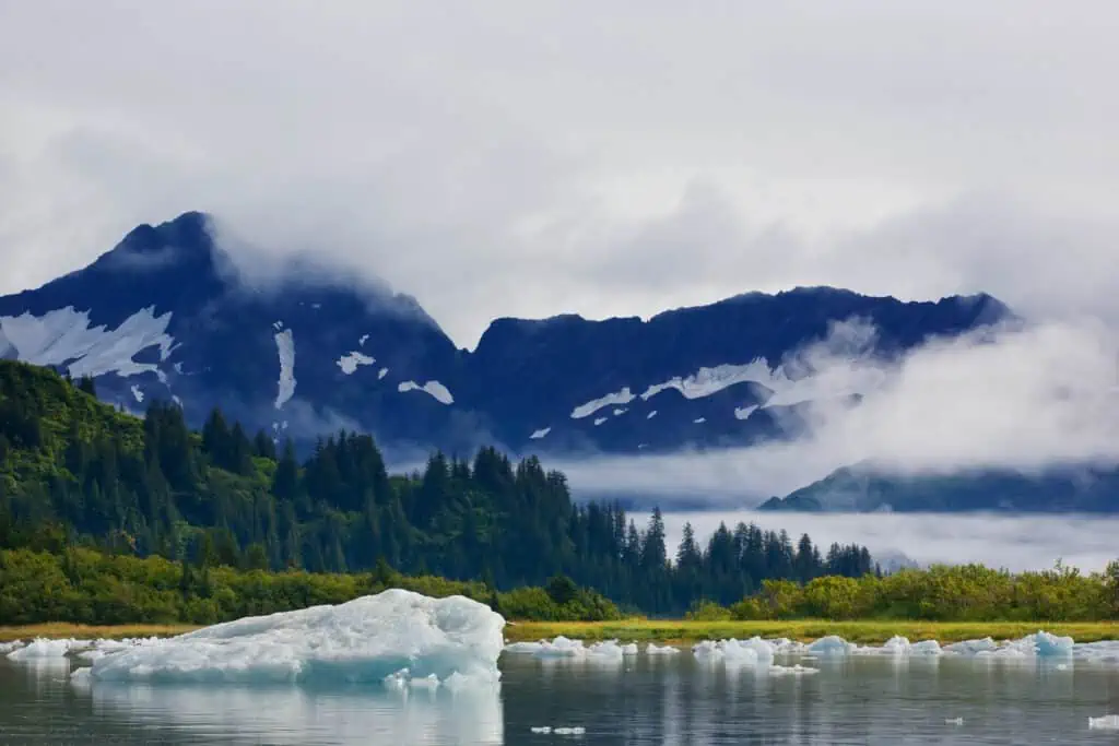 Water, trees and mountains of Kenai Fjords National Park