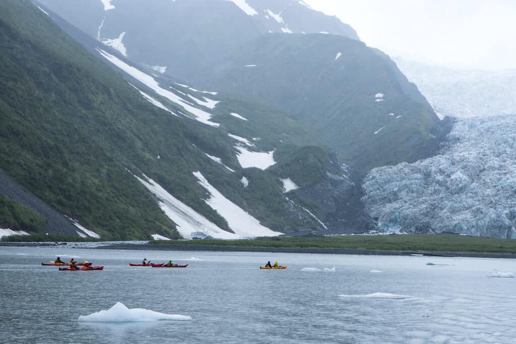 Kayaking in Aialik Bay