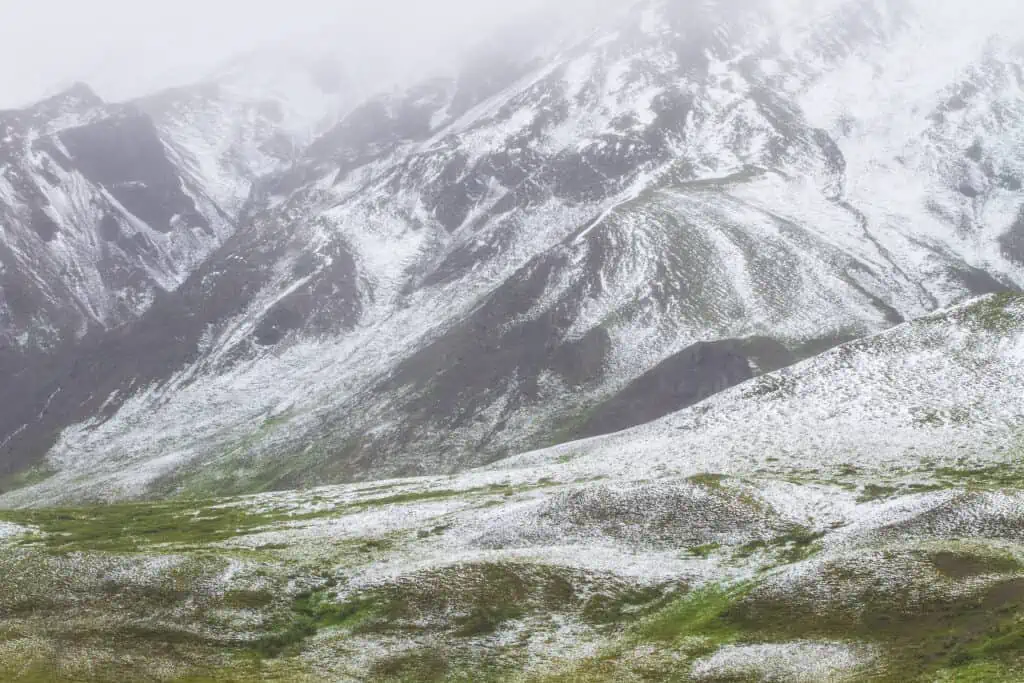 A snow dusting in Denali National Park