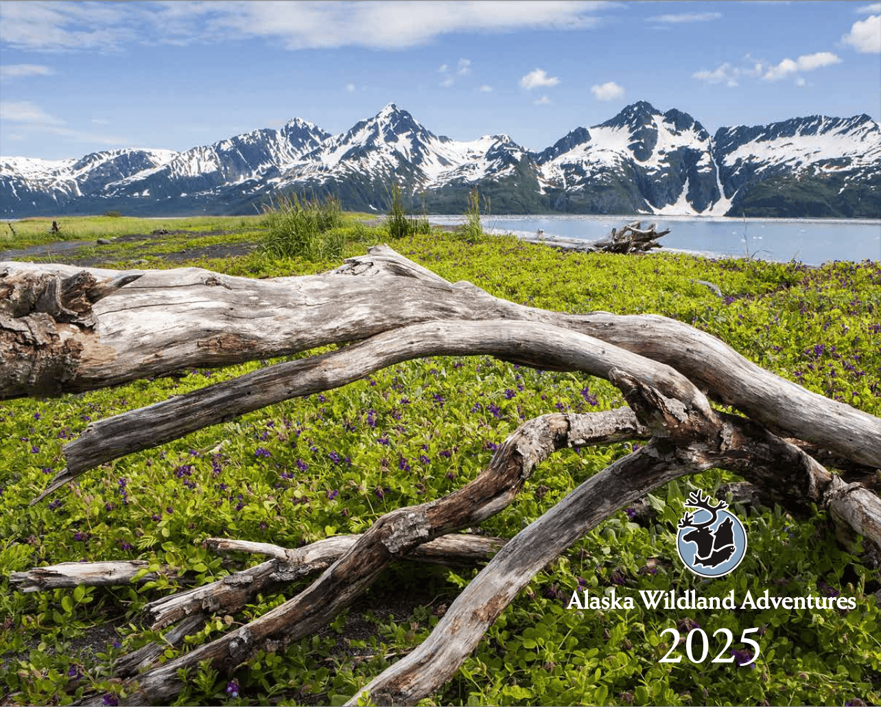 Brochure - Alaska Wildland Adventures