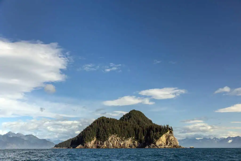 An island in the Kenai Fjords