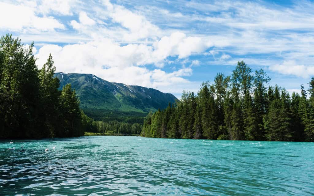 The sun shines on the turquoise waters of the Kenai River