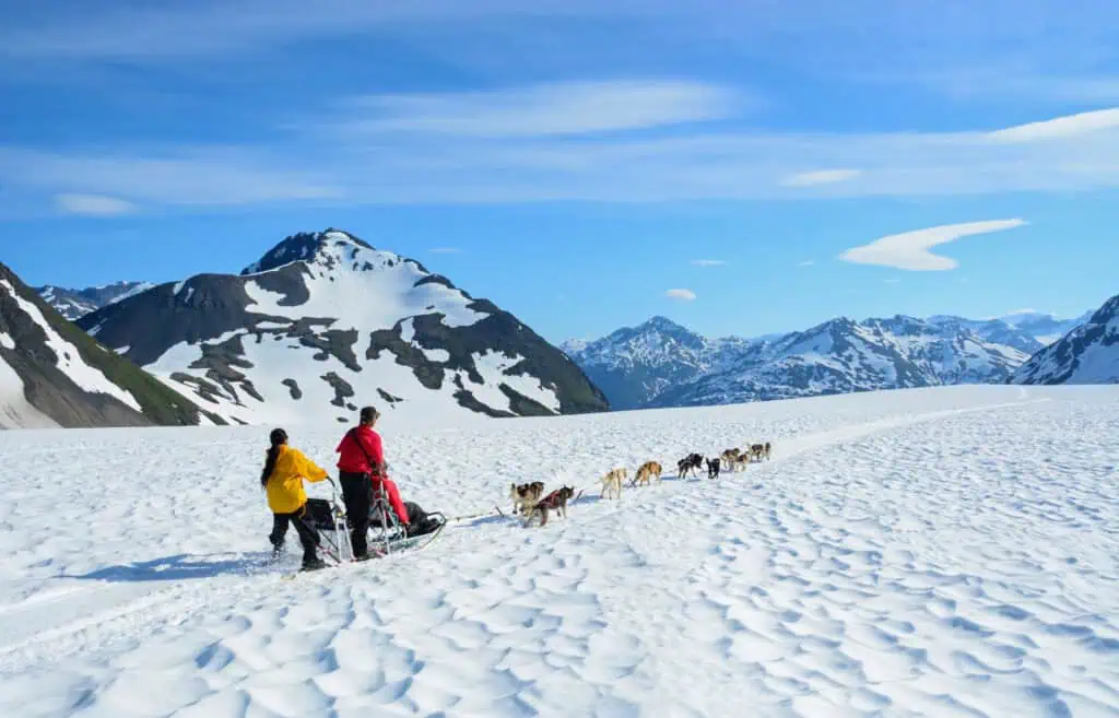 Dog sledding on a glacier on the Ultimate Alaska Adventure