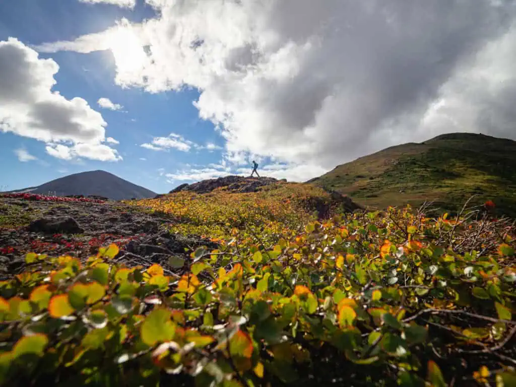 Hiking on the Kenai Peninsula