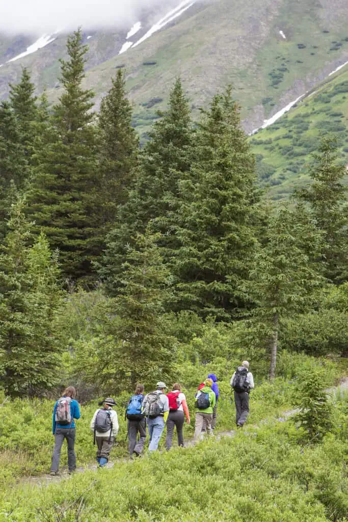 Hiking in the Chugach National Forest