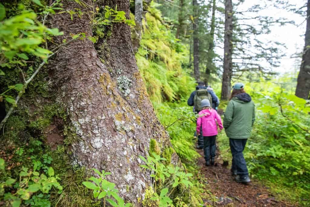 Walking a forested path near Kenai Fjords Glacier Lodge